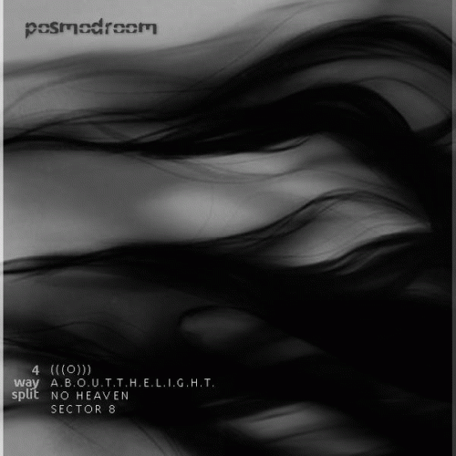 About The Light : Posmodroom